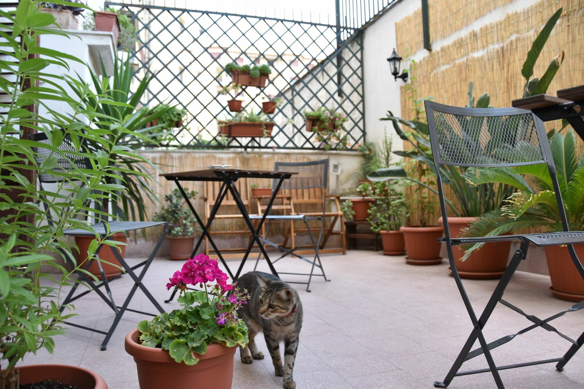 Il Lapino Hotell Palermo Exteriör bild